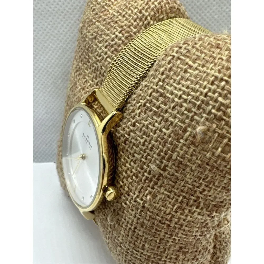 Skagen Anita Lille SKW2150 Women's Gold-Tone Stainless Steel Analog Watch JNA899